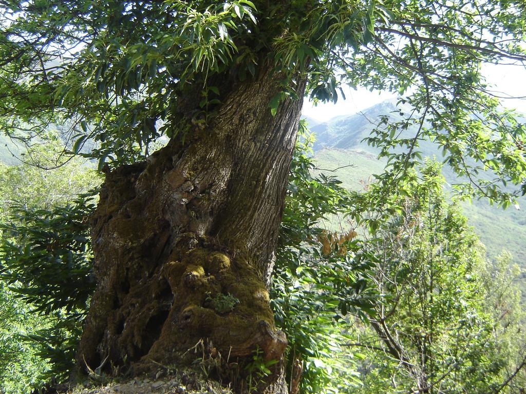 Carriles Romanos Villa Odollo Luaran gambar